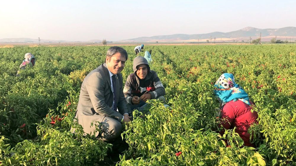Ak Partili Ali Şahin'den tarım için önemli adım
